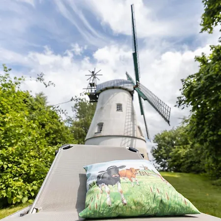 Windmuehle Betty An Der Nordsee Cuxhaven