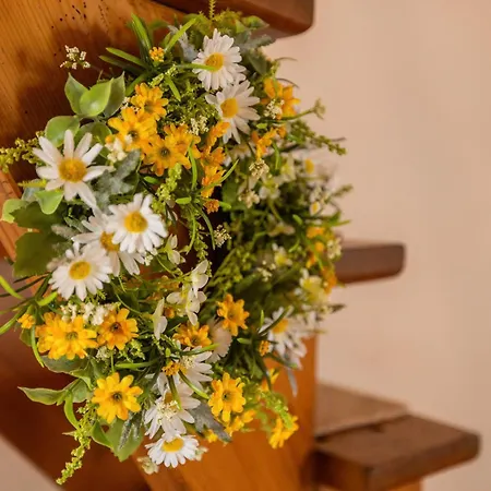 בית נופש Windmuehle Betty An Der Nordsee קושהאבן