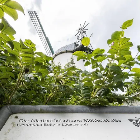 Windmuehle Betty An Der Nordsee * קושהאבן