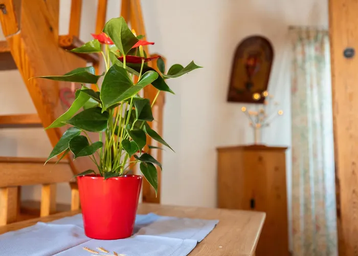 Tatil Evi Windmuehle Betty An Der Nordsee Cuxhaven